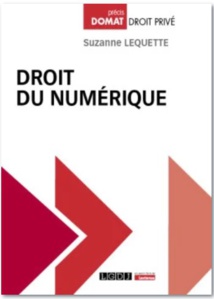 Publication du règlement du 13 juin 2024 sur l'Intelligence Artificielle (JOCE, 12 juillet 2024). 