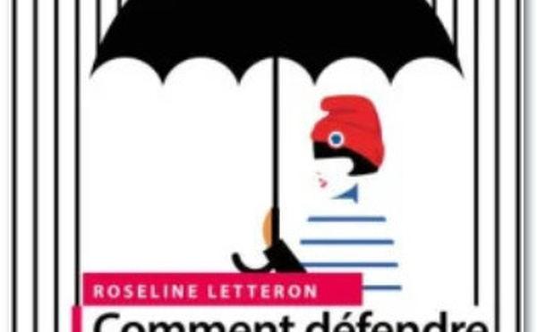 Comment défendre les libertés publiques ?, La doc. fr., 2024, par Roseline LETTERON